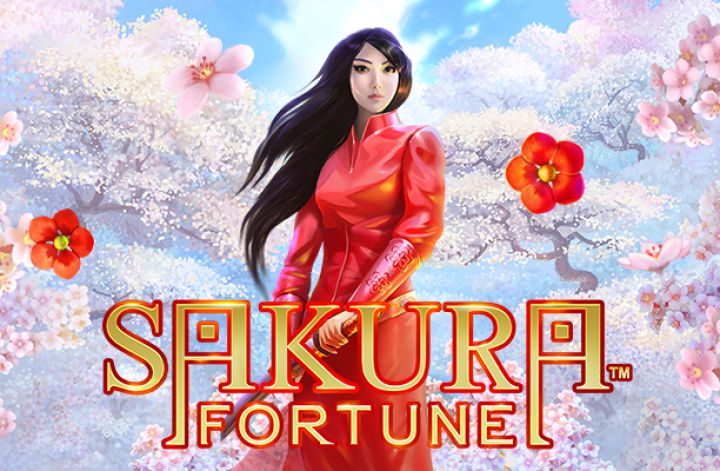 sakura fortune